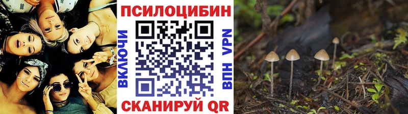 Псилоцибиновые грибы Psilocybe  дарк нет формула  ОМГ ОМГ как зайти  Феодосия  купить наркотики цена 